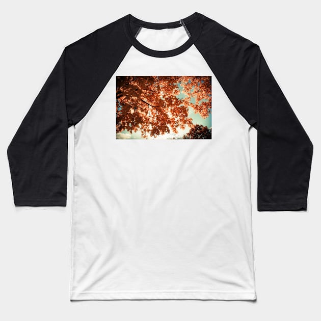 Autumn Forest Baseball T-Shirt by cinema4design